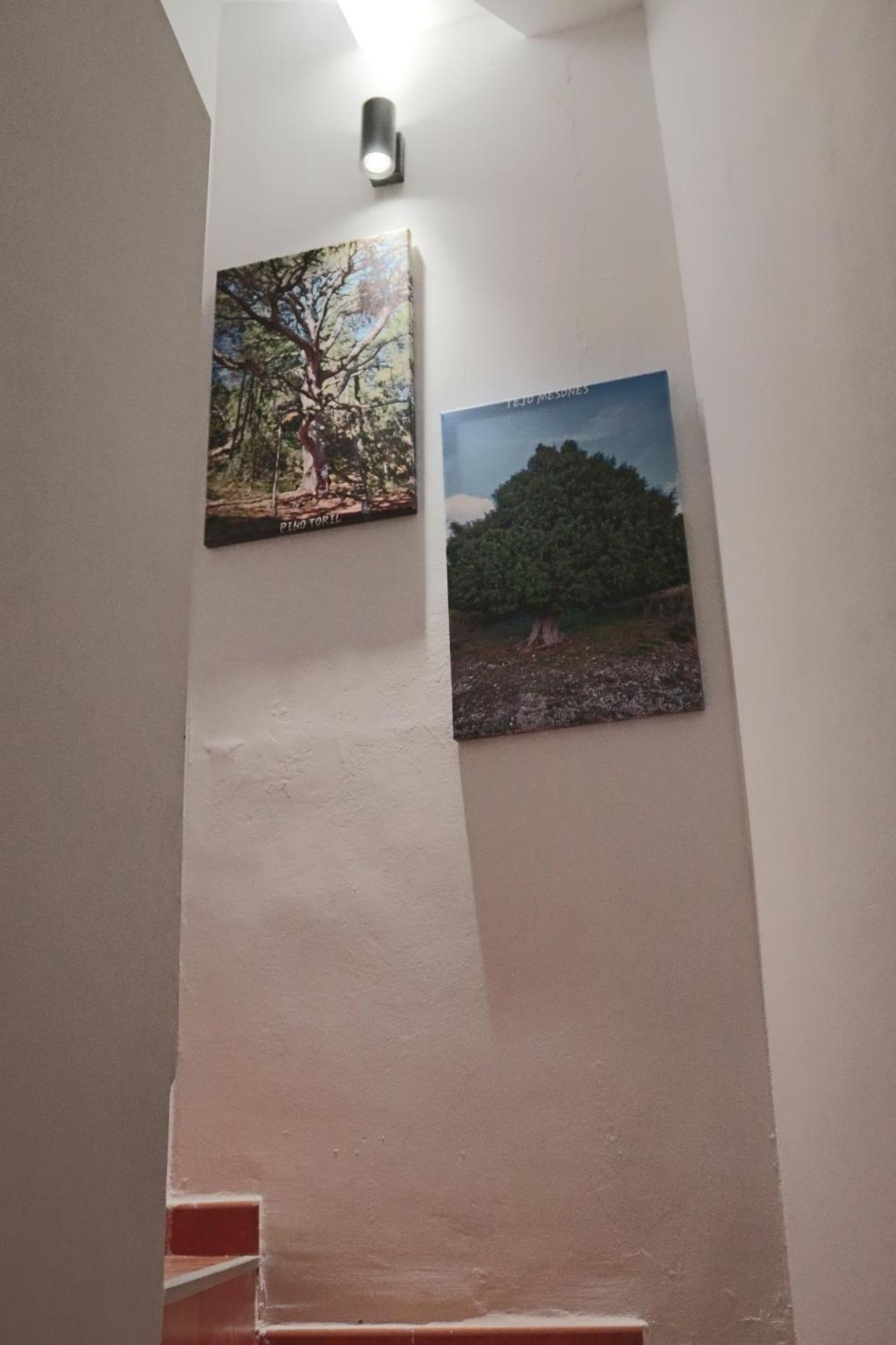 Casa 25 Villa Riópar Dış mekan fotoğraf